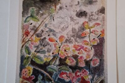 Kort Høst i Finnskogen