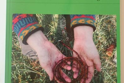 Nasjonale minoritetsuttrykk