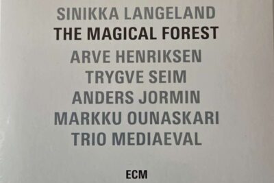 The magical forest