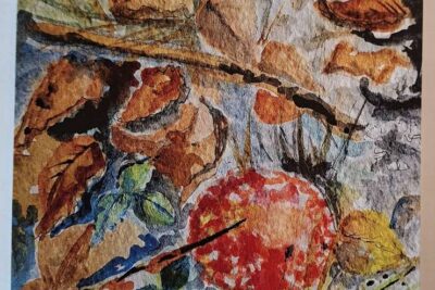 Kort Steinen blømer