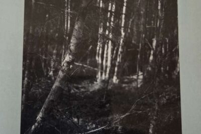 The half-finished heaven