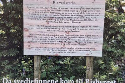 Da svedjefinnene kom til Risberget