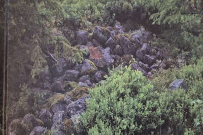 Under rydningsrøysas åk