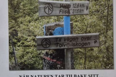 Medskogberget