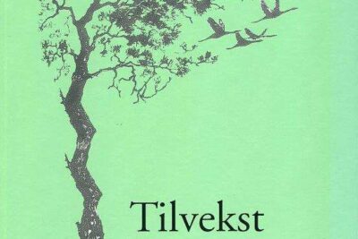 Tilvekst. Ungdom i Hedmark skriver.